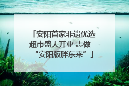 安阳首家非遗优选超市盛大开业 志做“安阳版胖东来”