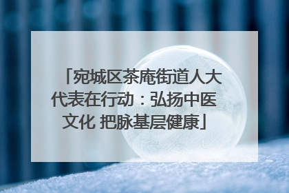 宛城区茶庵街道人大代表在行动：弘扬中医文化 把脉基层健康