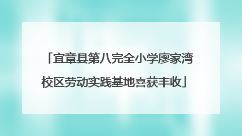 宜章县第八完全小学廖家湾校区劳动实践基地喜获丰收