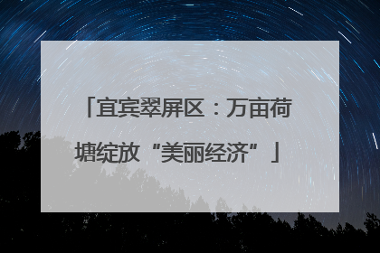 宜宾翠屏区：万亩荷塘绽放“美丽经济”