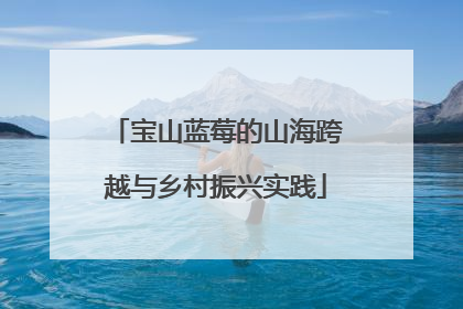 宝山蓝莓的山海跨越与乡村振兴实践