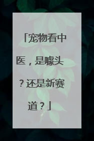 宠物看中医，是噱头？还是新赛道？