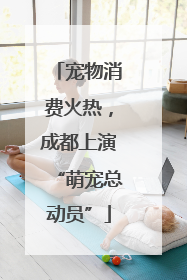 宠物消费火热，成都上演“萌宠总动员”