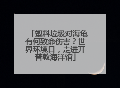 塑料垃圾对海龟有何致命伤害？世界环境日，走进开普敦海洋馆
