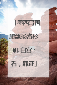 墨西哥国旗飘扬洛杉矶 白宫：看，罪证