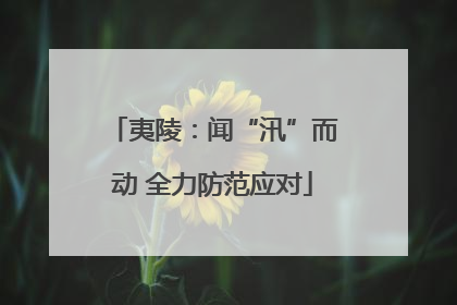 夷陵：闻“汛”而动 全力防范应对