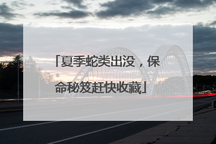 夏季蛇类出没，保命秘笈赶快收藏