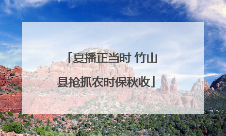 夏播正当时 竹山县抢抓农时保秋收