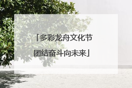 多彩龙舟文化节 团结奋斗向未来