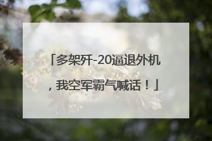 多架歼-20逼退外机，我空军霸气喊话！