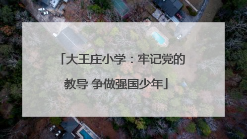 大王庄小学：牢记党的教导 争做强国少年