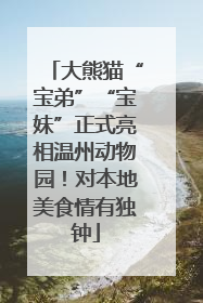 大熊猫“宝弟”“宝妹”正式亮相温州动物园！对本地美食情有独钟