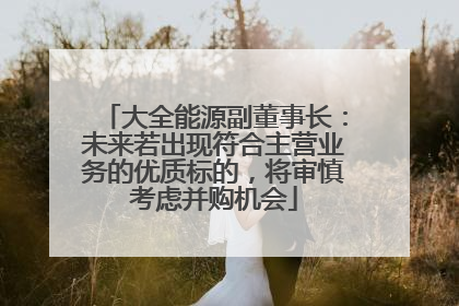 大全能源副董事长：未来若出现符合主营业务的优质标的，将审慎考虑并购机会