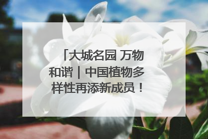 大城名园 万物和谐｜中国植物多样性再添新成员！它只在西藏墨脱