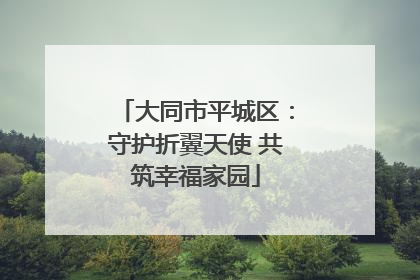 大同市平城区：守护折翼天使 共筑幸福家园