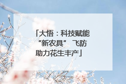 大悟：科技赋能“新农具” 飞防助力花生丰产