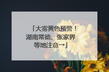 大雾黄色预警！湖南常德、张家界等地注意→