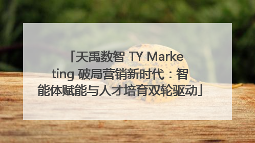 天禹数智 TY Marketing 破局营销新时代：智能体赋能与人才培育双轮驱动
