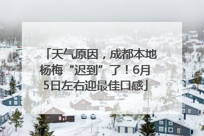 天气原因，成都本地杨梅“迟到”了！6月5日左右迎最佳口感