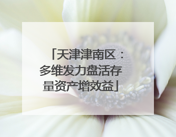 天津津南区：多维发力盘活存量资产增效益