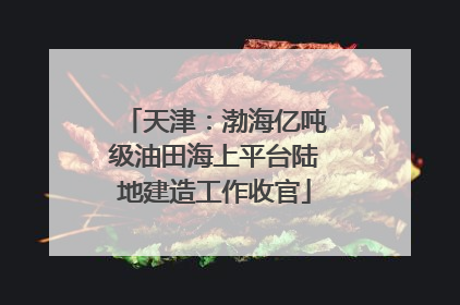 天津：渤海亿吨级油田海上平台陆地建造工作收官