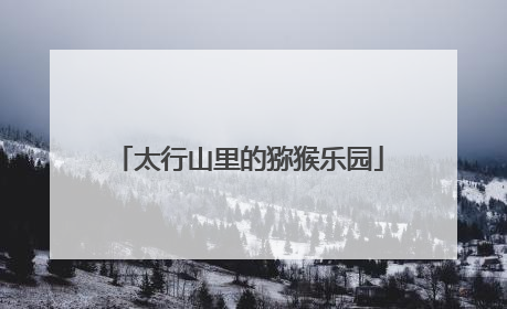 太行山里的猕猴乐园