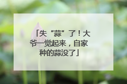失“蒜”了！大爷一觉起来，自家种的蒜没了