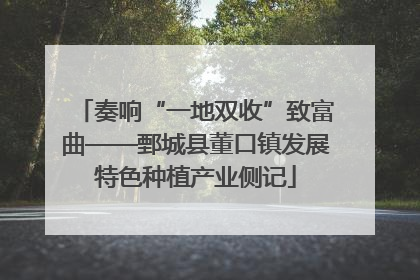 奏响“一地双收”致富曲——鄄城县董口镇发展特色种植产业侧记