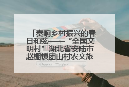 奏响乡村振兴的春日和弦——“全国文明村”湖北省安陆市赵棚镇团山村农文旅融合发展见闻