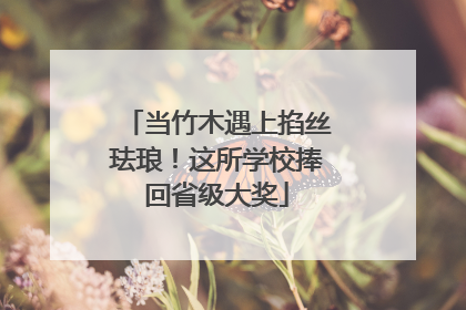 当竹木遇上掐丝珐琅！这所学校捧回省级大奖