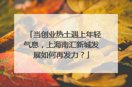 当创业热土遇上年轻气息，上海南汇新城发展如何再发力？