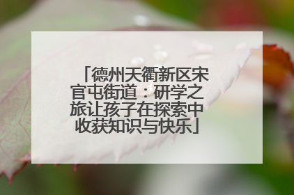 德州天衢新区宋官屯街道：研学之旅让孩子在探索中收获知识与快乐