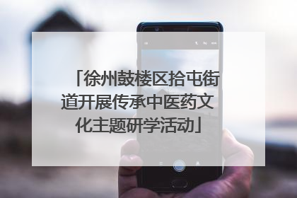 徐州鼓楼区拾屯街道开展传承中医药文化主题研学活动
