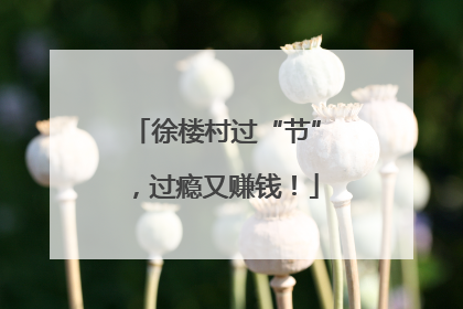 徐楼村过“节”，过瘾又赚钱！