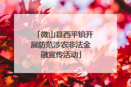 微山县西平镇开展防范涉农非法金融宣传活动