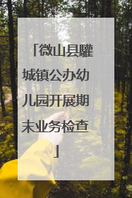 微山县驩城镇公办幼儿园开展期末业务检查
