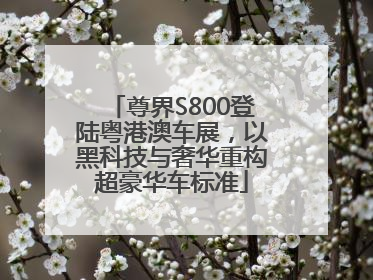 尊界S800登陆粤港澳车展，以黑科技与奢华重构超豪华车标准