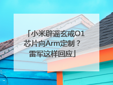 小米辟谣玄戒O1芯片向Arm定制？雷军这样回应
