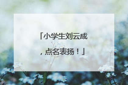 小学生刘云成，点名表扬！