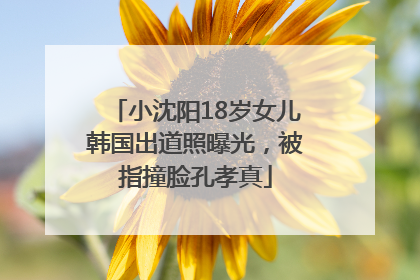 小沈阳18岁女儿韩国出道照曝光，被指撞脸孔孝真