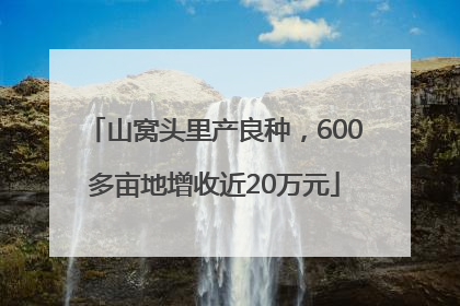 山窝头里产良种，600多亩地增收近20万元