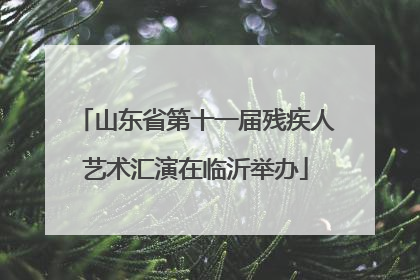 山东省第十一届残疾人艺术汇演在临沂举办
