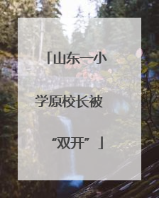 山东一小学原校长被“双开”