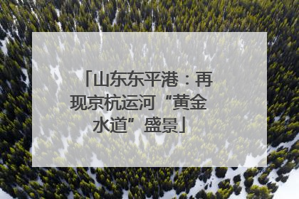 山东东平港：再现京杭运河“黄金水道”盛景