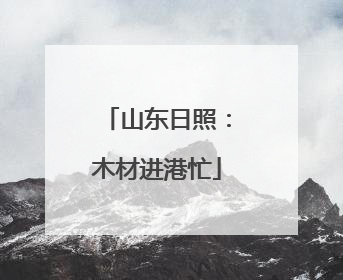 山东日照：木材进港忙