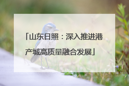 山东日照：深入推进港产城高质量融合发展