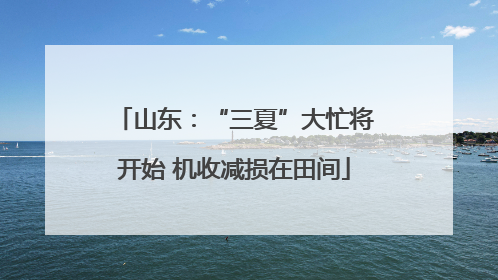 山东：“三夏”大忙将开始 机收减损在田间