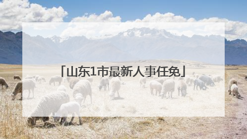 山东1市最新人事任免