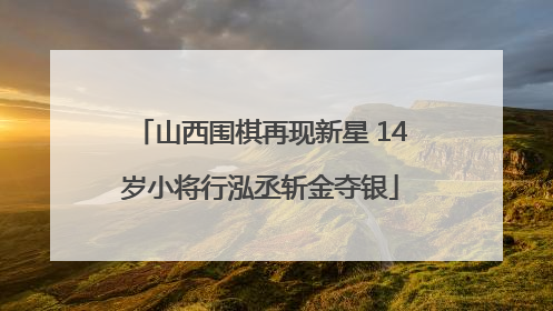 山西围棋再现新星 14岁小将行泓丞斩金夺银