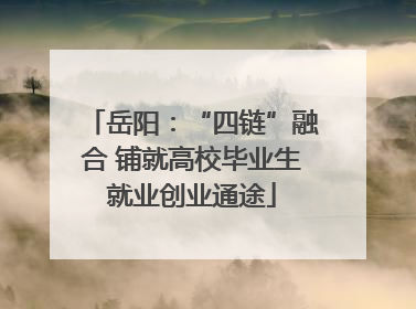 岳阳：“四链”融合 铺就高校毕业生就业创业通途